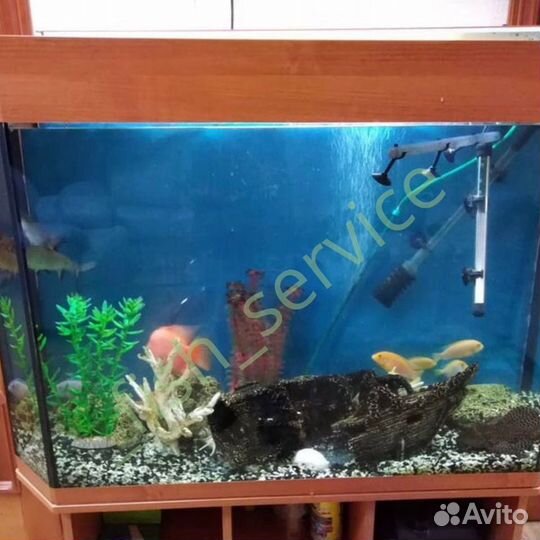 Чистка аквариума