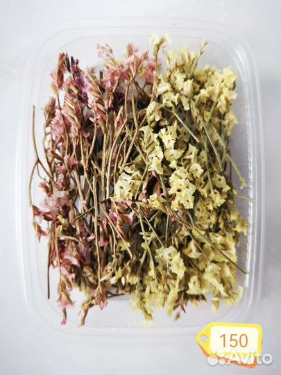 Сухоцветы разные