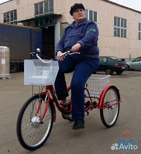 Велосипед трехколесный электро Фермер 250W 24