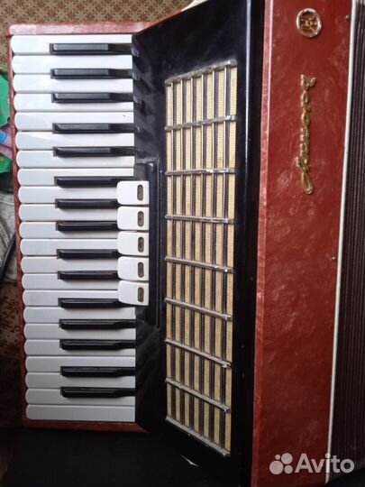 Аккордеон Аккорд
