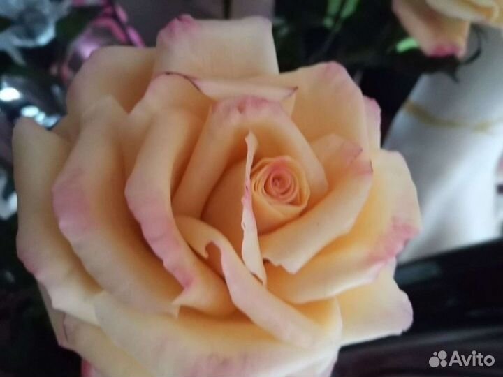 Цветы из холодного фарфора ручная работа подарите