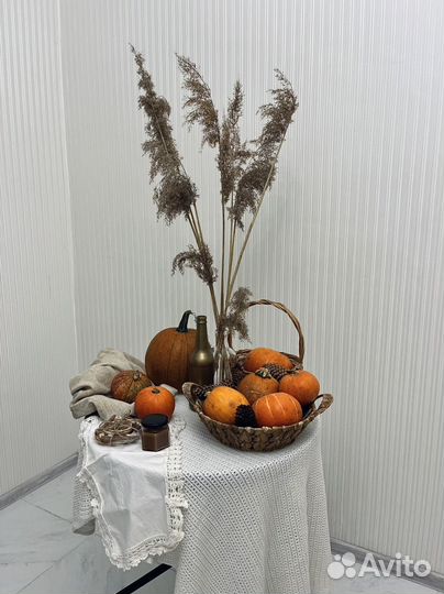 Организация праздников/вечеринок/декоратор