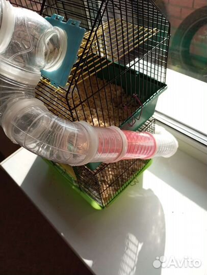 Клетка для грызунов большая