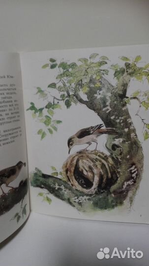 Акимушкин, Игорь Животные- строители