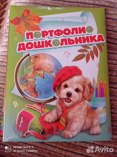 Портфолио дошкольника