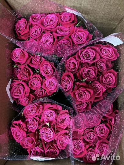 Цветы розы оптом