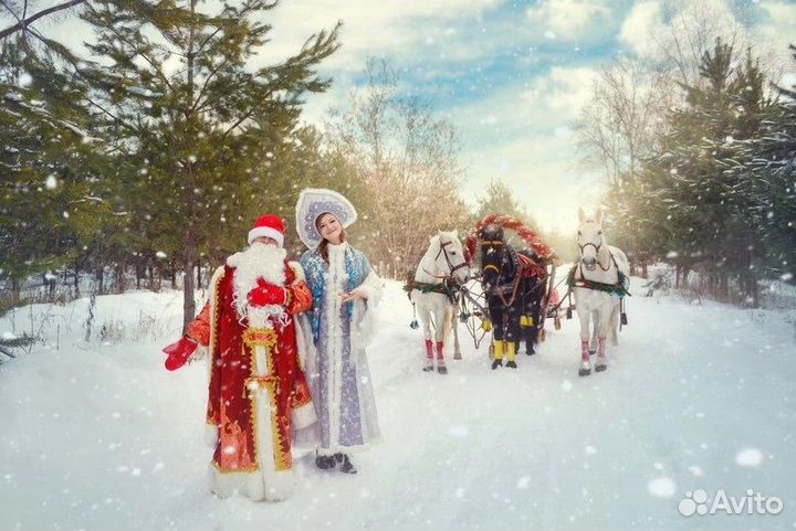 Прогулки на лошадях,санях
