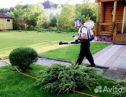 Уничтожение тараканов, клопов, кротов, клещей и ос