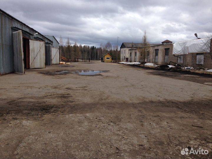 Производственная база. Предприятие деревообработка