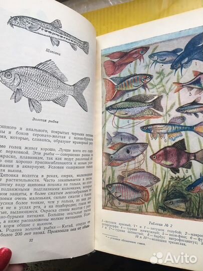 Антикварная книга Советы натураслисту 1956