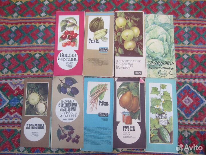 К.Д. Ушинский. Бишка. 1981 год