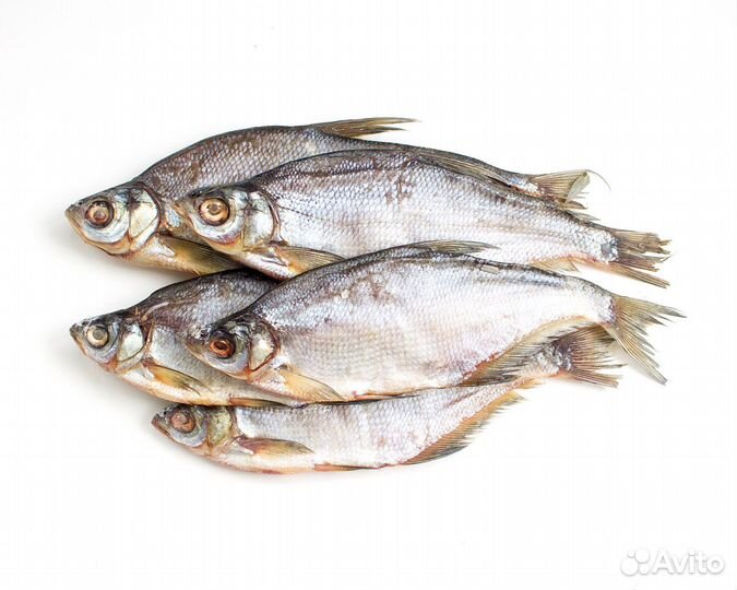 Сопа вяленая. Жирная