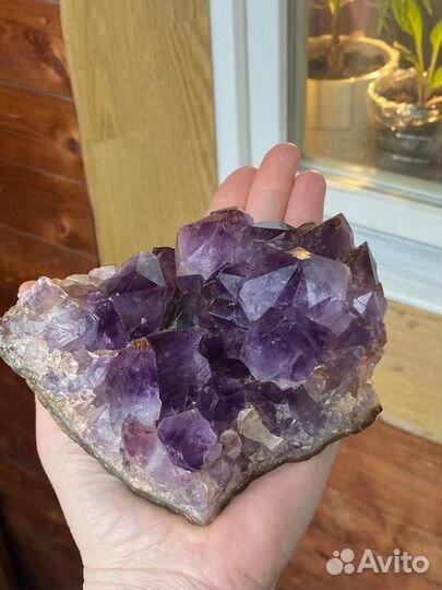Друза аметиста