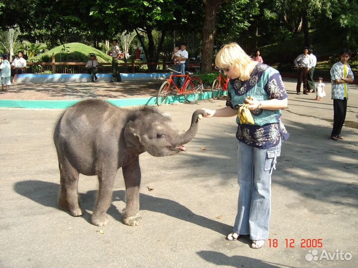 128 Симеиз. Дыхание весны, кисти Анны Давыдченко
