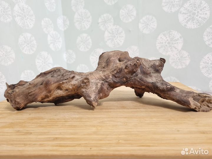 Коряги для аквариума. Террариум