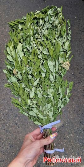 Веники для бани 2023