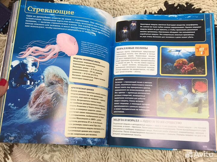 Планета Земля 4D энциклопедия с дополненной реальн