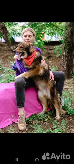 Мокко из приюта