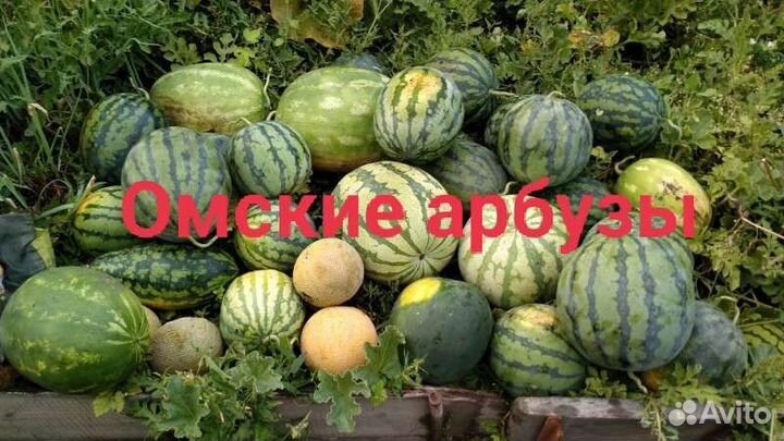 Семена вкусных арбузов