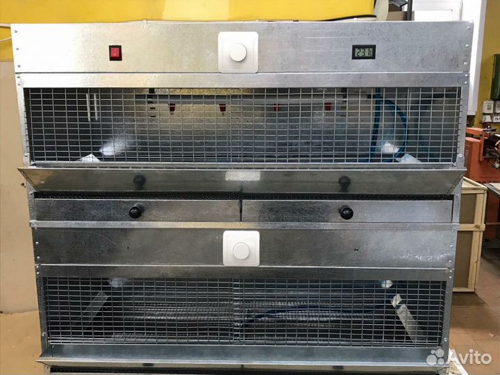 Брудор для обогрева цыплят