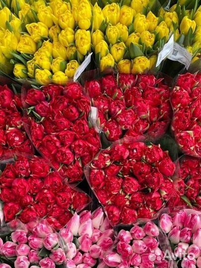 Тюльпаны к 8 марта оптом Волгоград