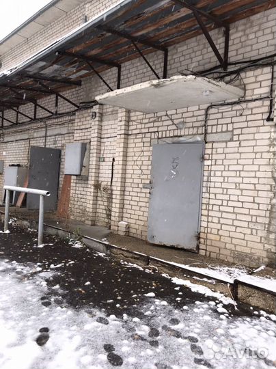 Морозильная камера в аренду