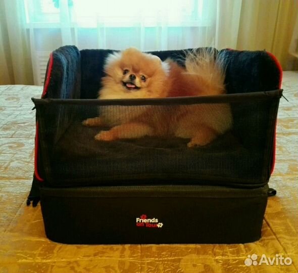 Автокресло для собак