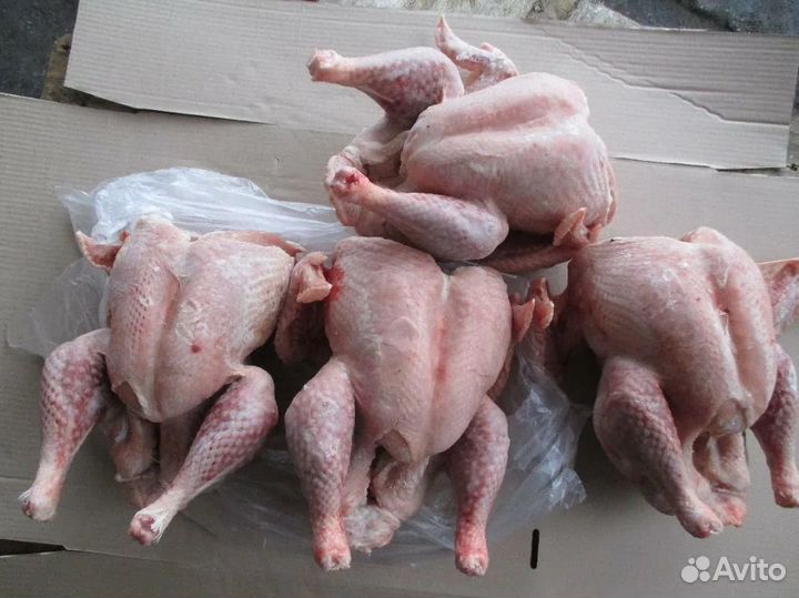 Мясо домашней индейки