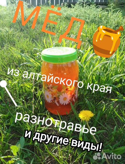 Мед алтайский
