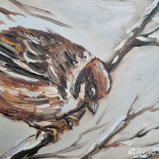 Воробьи картина маслом птичка воробей миниатюра