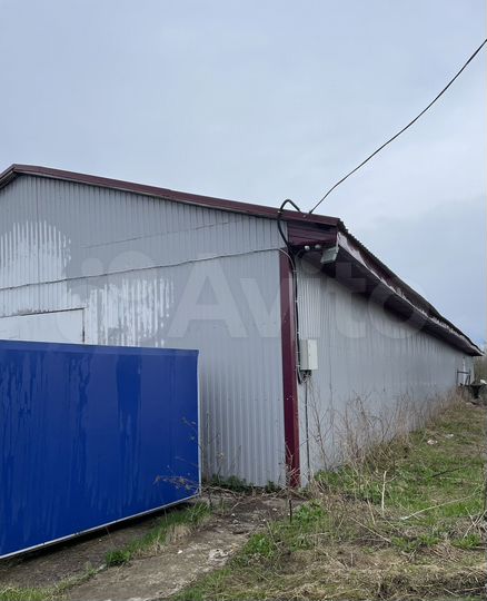 Свободного назначения, 500 м²