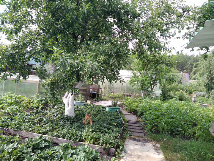 Дача 35 м² на участке 6 сот.