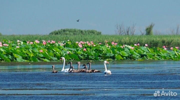 Прогулки на катере