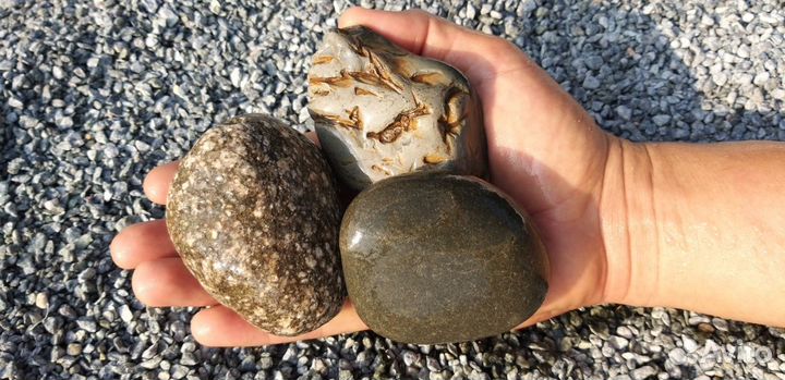 Натуральный камень галька 40-70 мм