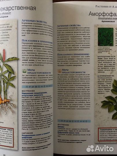 Энциклопедия лекарственных растений