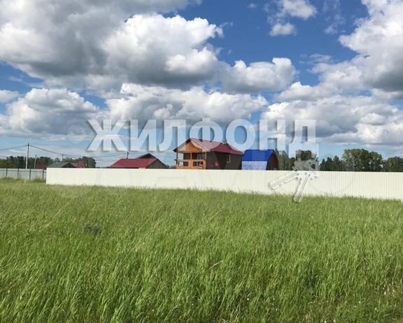 Днт шуманка новосибирск берег моря. Земля в новосибирске. Полигон красный адуй. Земля в новосибирске. Земля в новосибирске.