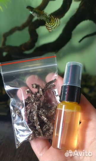 Морской червь нереис (живой, сухой, аттрактант)