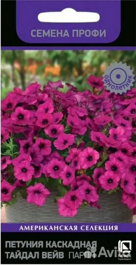 Рассада петунии тайдал