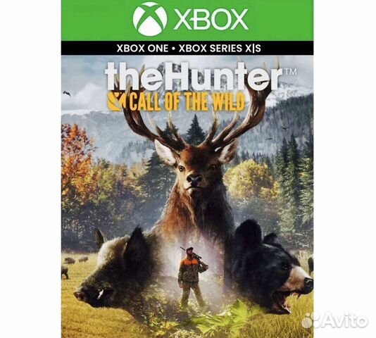 The Hunter Call o The Wild Xbox (Ключ)