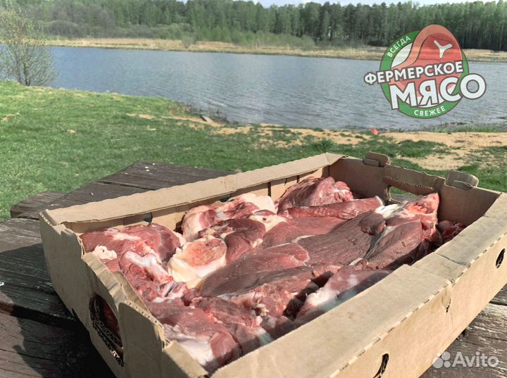 Мясо говядина