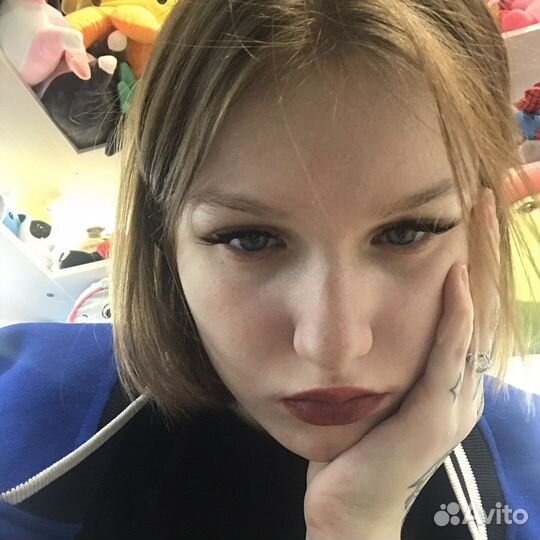 Передержка животных, выгул)