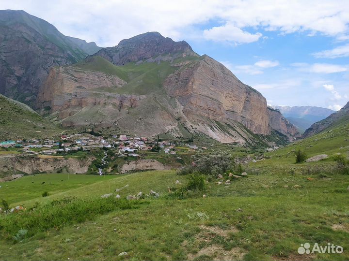 Жилье посуточно