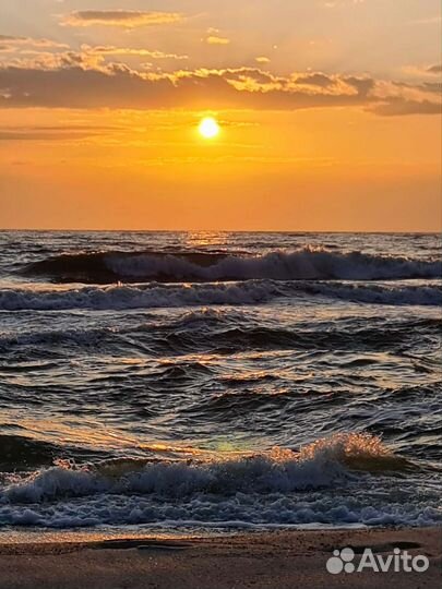 Аренда авто с водителем.Трансфер.Трезвый водитель