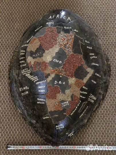 Панцирь морской черепахи(Африка)