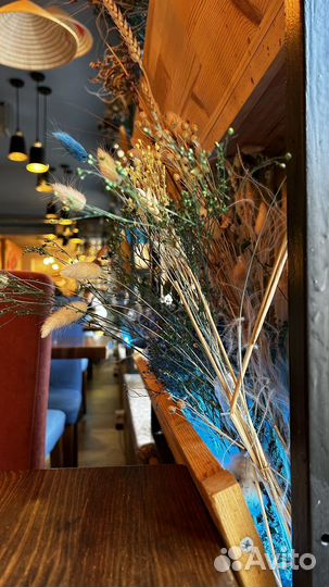 Съемка и монтаж видео, визуал, SMM