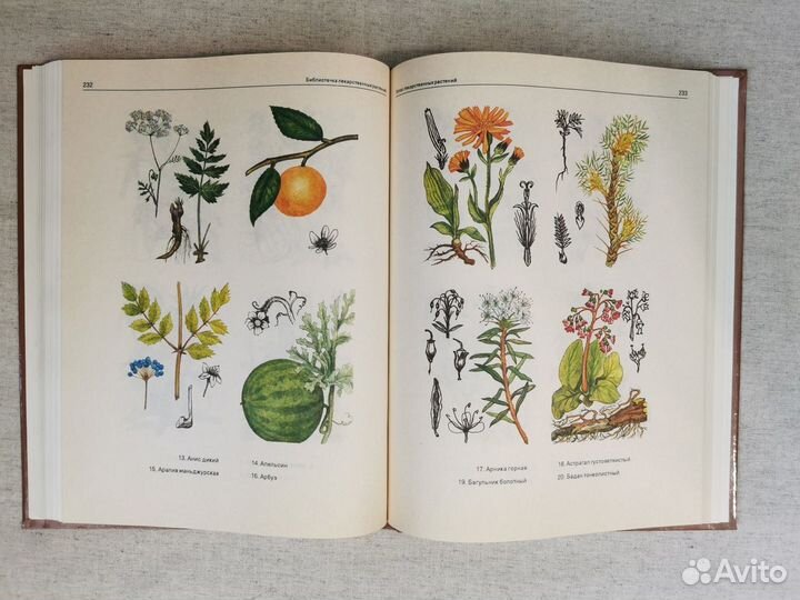 2 книги: лекарственные растения с рецептами