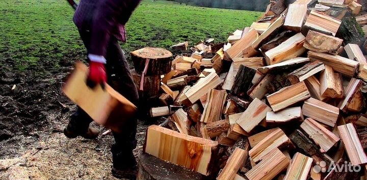Дрова без гнили