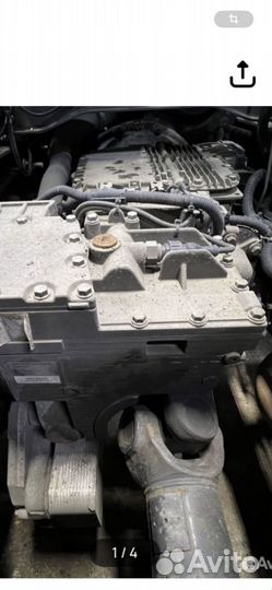 Каропка бередач волвоь