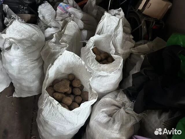 Картофель крупный с доставкой