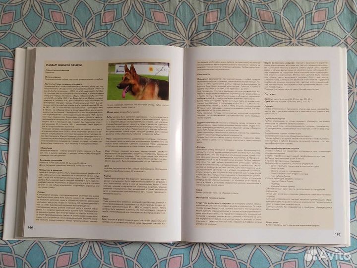 Немецкая овчарка